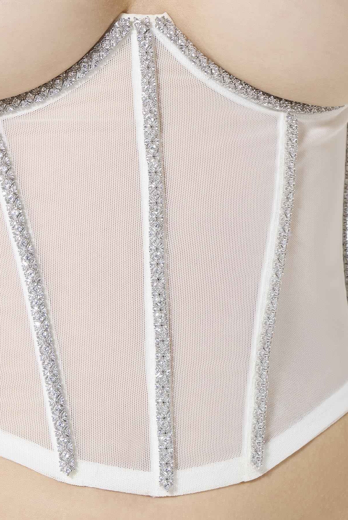 Shiny Corset