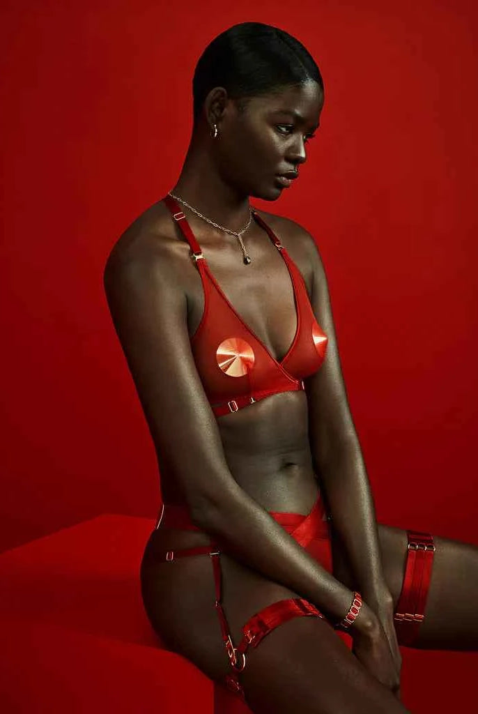 Tomoe Harness Brief