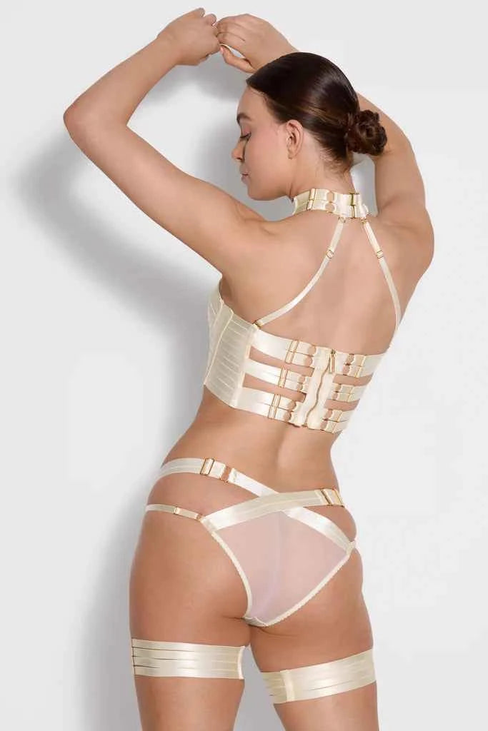 Tomoe Harness Brief
