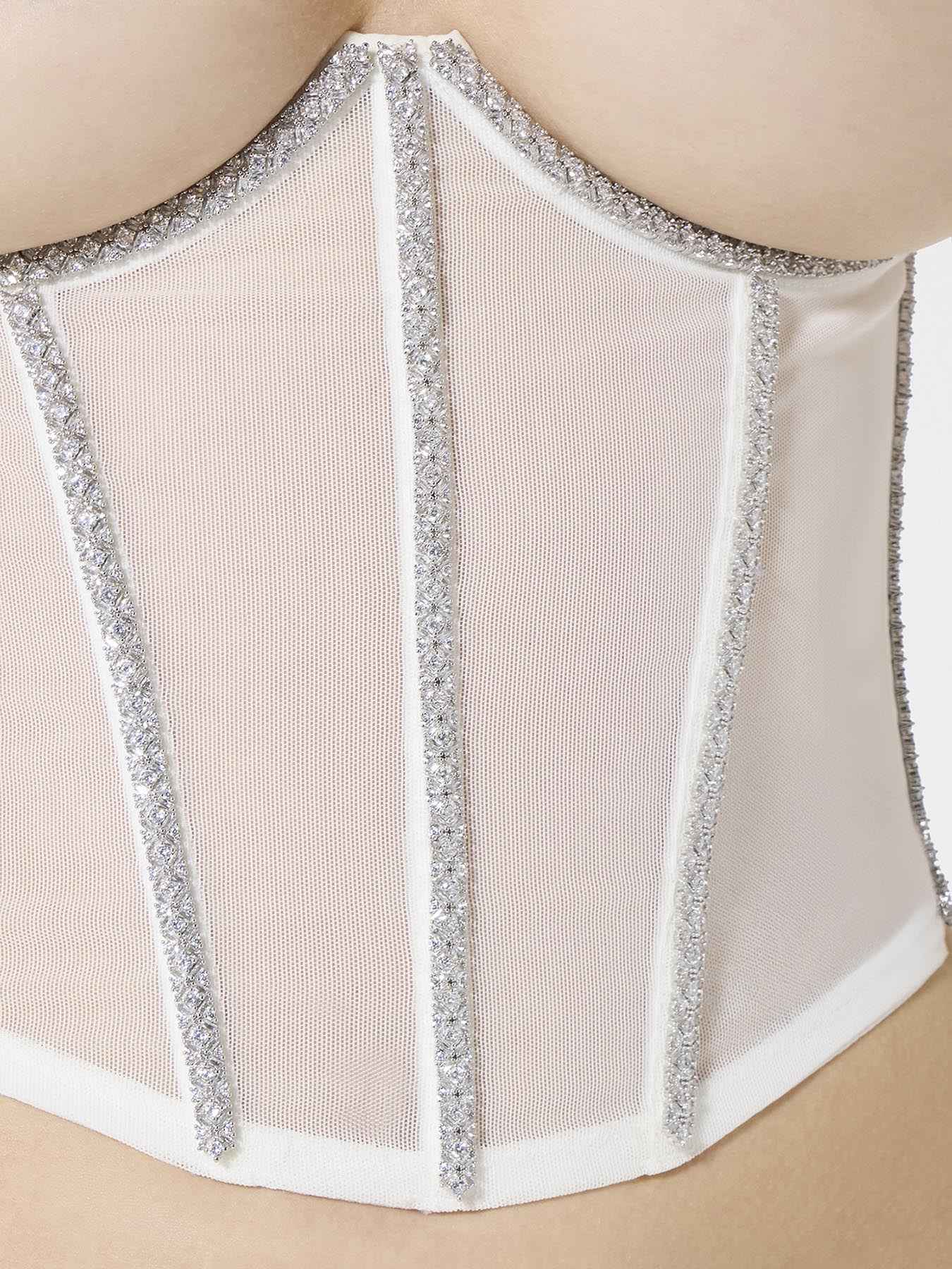 Shiny Corset